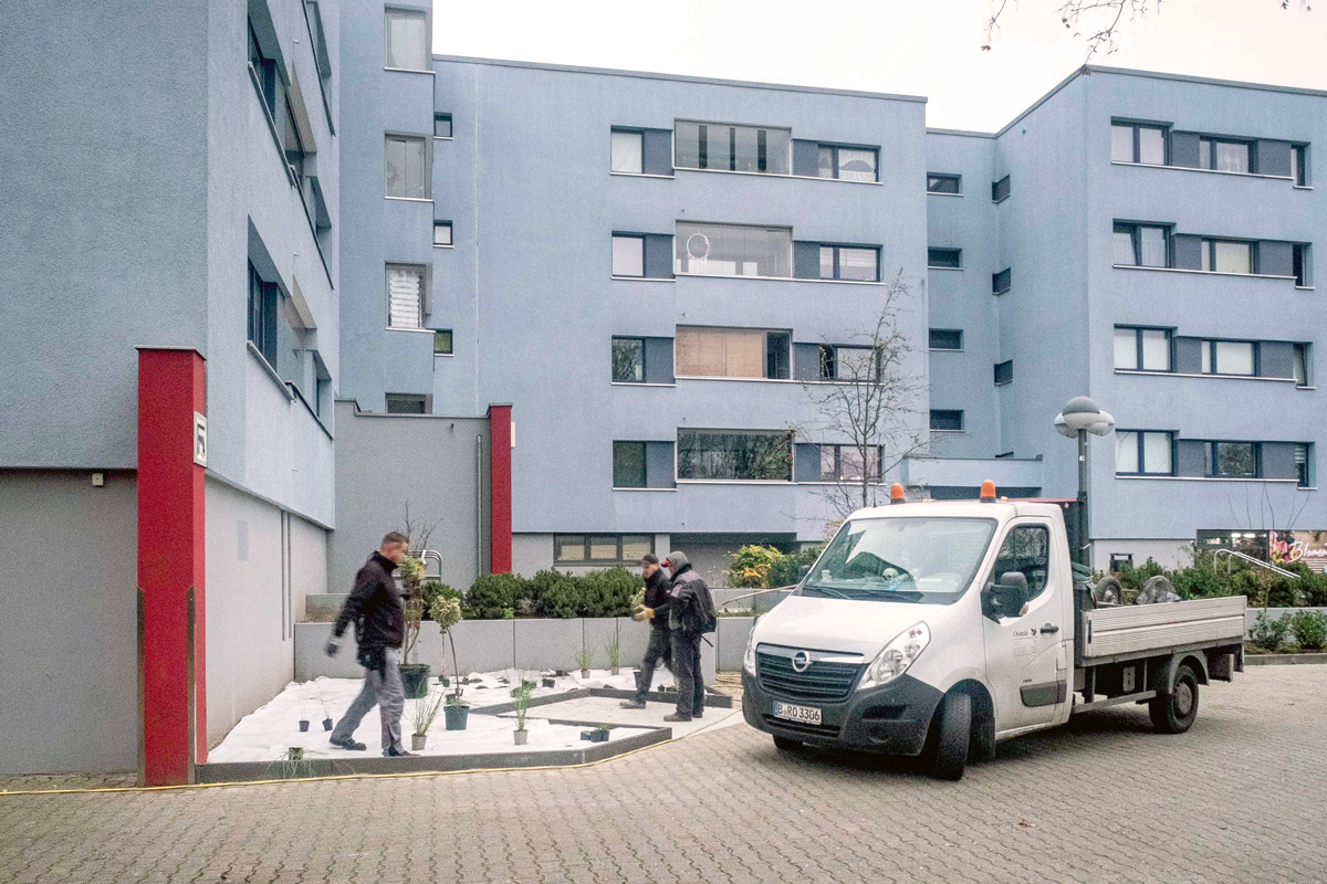 Am Wilhelmsruher Damm 226 im Märkischen Viertel haben sich die Bewohner*innen eine Bepflanzung der Außenanlage gewünscht. Bei der Projektumsetzung geben Landschaftsgärtner Jugendlichen Einblicke in ihre Arbeit