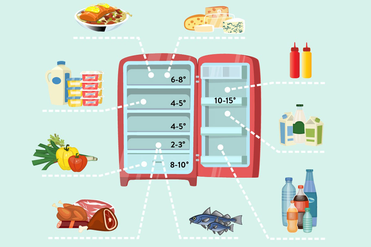 So wird der Kühlschrank richtig eingeräumt. Die gezeigten Temperaturen beziehen sich auf einen durchschnittlichen Kühlschrank