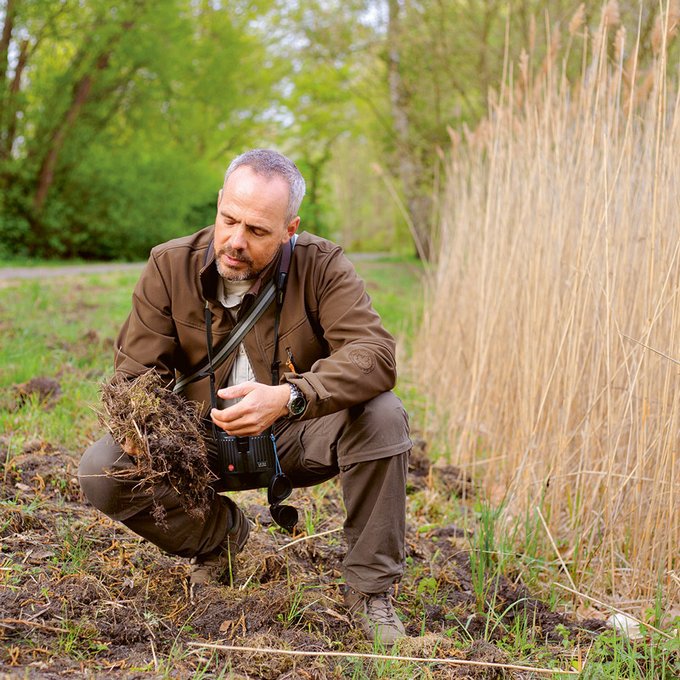 Derk Ehlert ist der Wildtierbeauftragte der Senatsverwaltung für Umwelt, Verkehr und Klimaschutz. Am Ufer des Seggeluchbeckens im Märkischen Viertel seien derzeit acht Wildschweine unterwegs, erzählt er