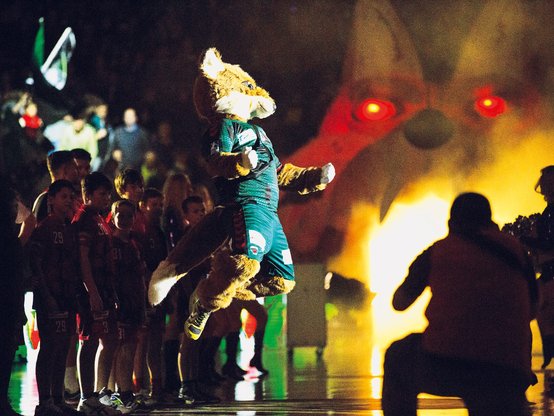 Seit Beginn des Jahres kooperiert die GESOBAU mit dem Handballclub Füchse Berlin