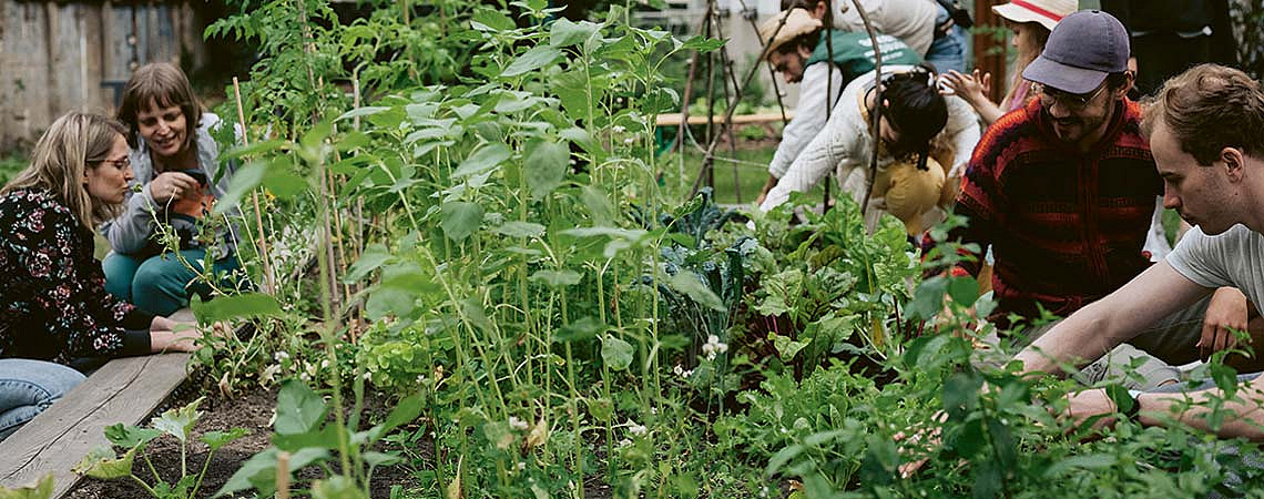 Urban Gardening in Berlin