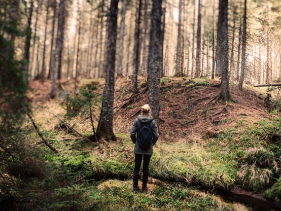 Frau spaziert durch Wald